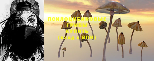 меф Богородицк