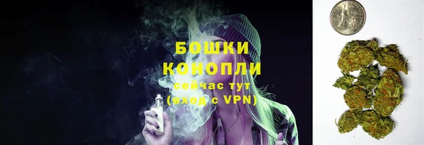 apvp Белокуриха