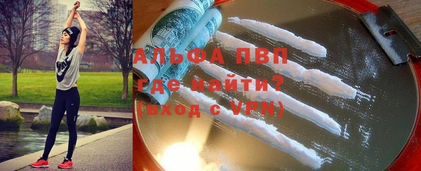 индика Белоозёрский