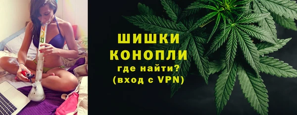 индика Белоозёрский